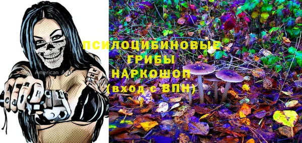 ГАЛЛЮЦИНОГЕННЫЕ ГРИБЫ Горнозаводск