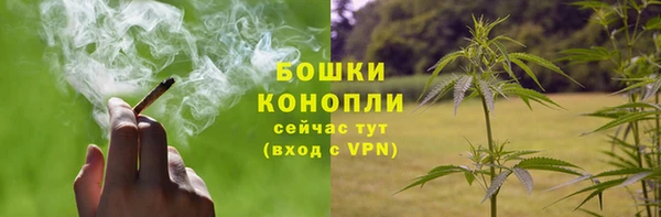 сатива Горно-Алтайск