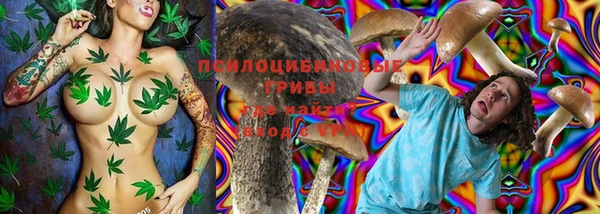 героин Горняк