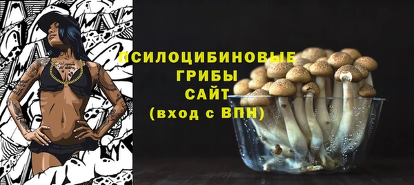 сатива Горно-Алтайск