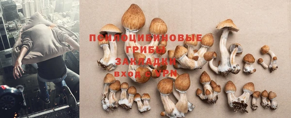героин Горняк
