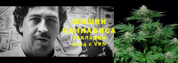 сатива Горно-Алтайск