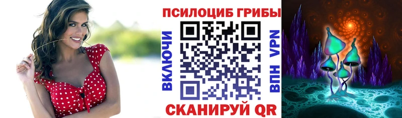 Галлюциногенные грибы Psilocybe  продажа наркотиков  Тула 